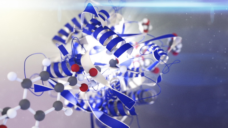 ‘มิชลิน’ ผนึกกำลัง ‘คาร์ไบโอส์’ มุ่งพัฒนายางล้อที่ยั่งยืน